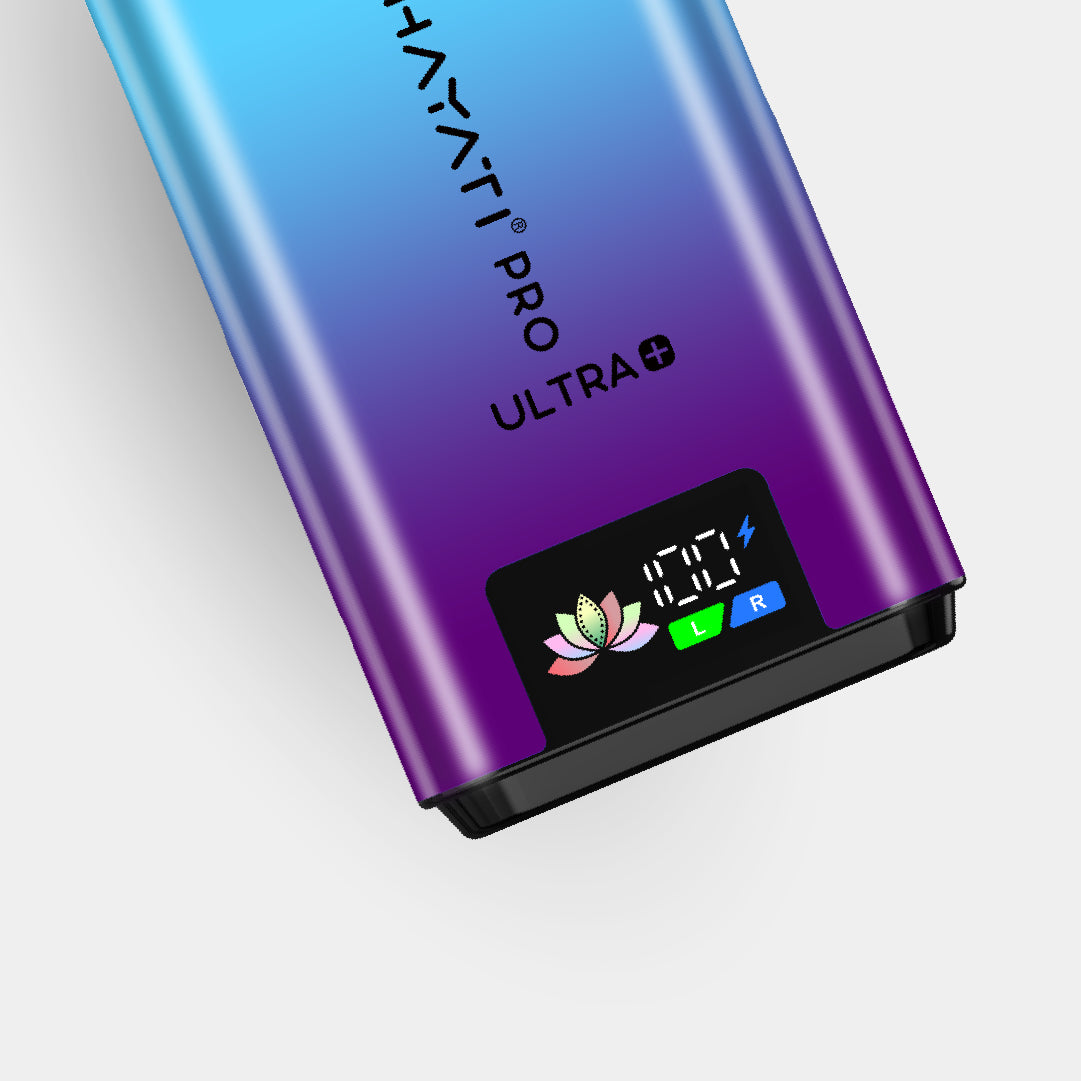 Blackcurrant Cotton K / Blue Raspberry