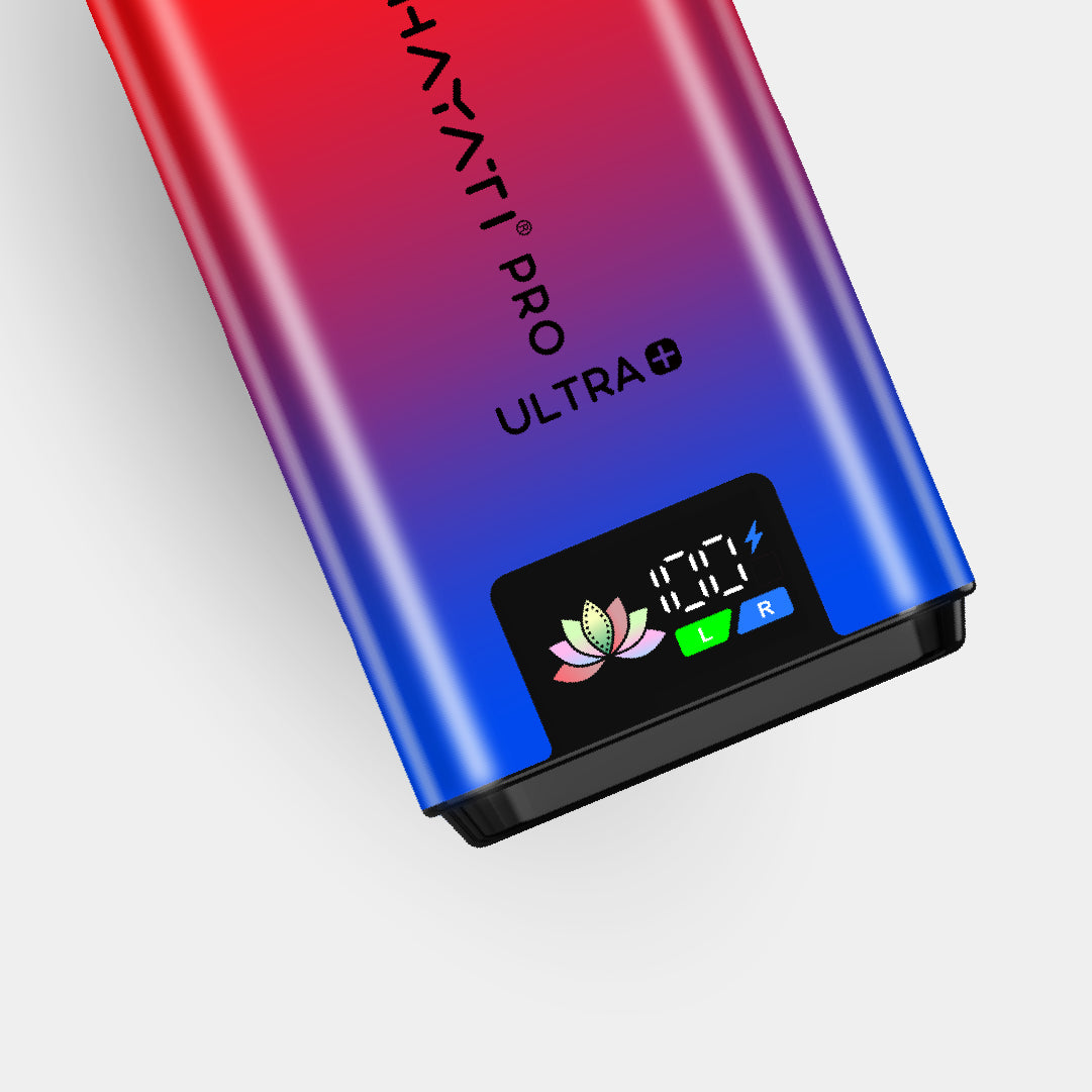 Blueberry H'Bubba / Watermelon H'Bubba