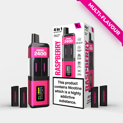 Raspberry Edition 4 in 1 Kit