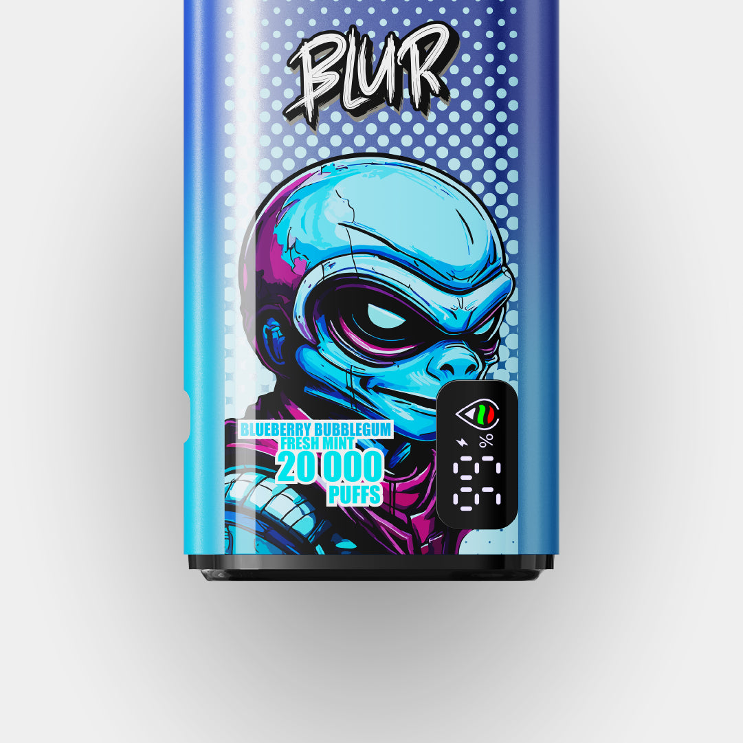 Blueberry bubblegum / Fresh Mint