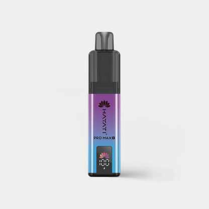 Blueberry Raspberry