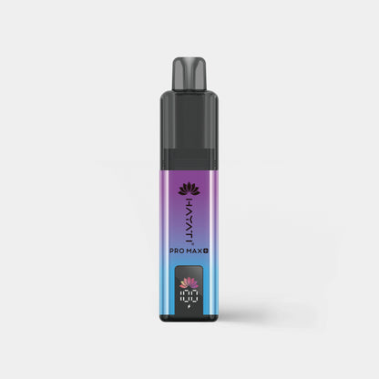 Blueberry Raspberry