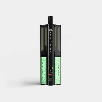 Gum & Mint / Watermelon Bubblegum