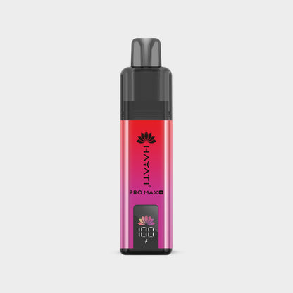 Strawberry Raspberry Ice