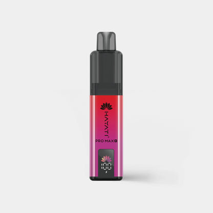 Strawberry Raspberry Ice