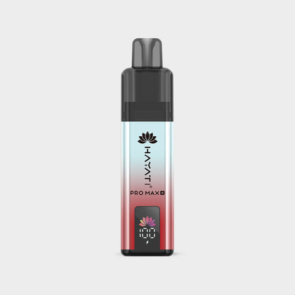 Watermelon Ice